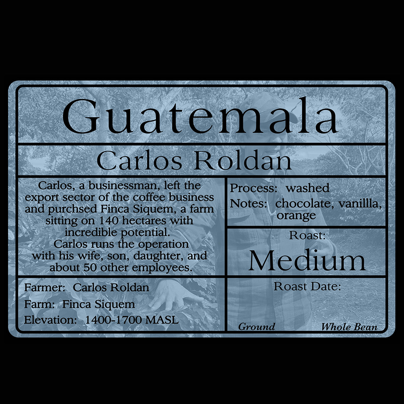 Guatemalan - Roldan