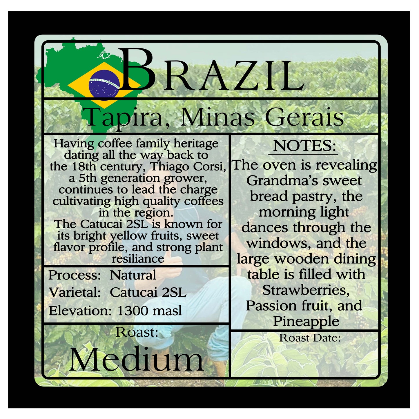 Brazil - Catucai