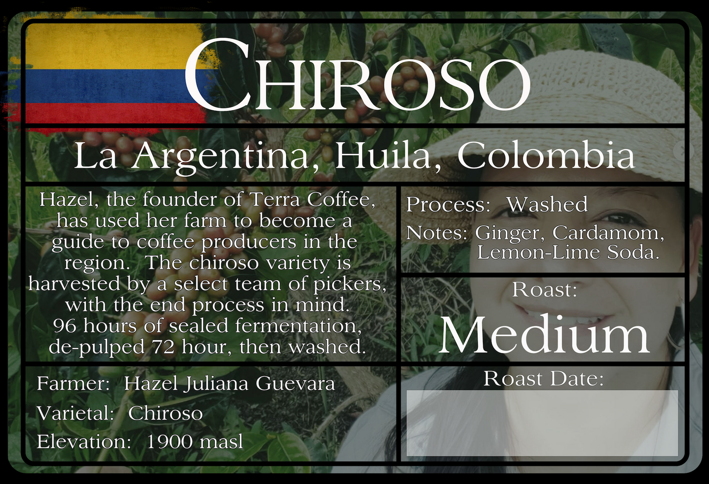 Colombian - Chiroso