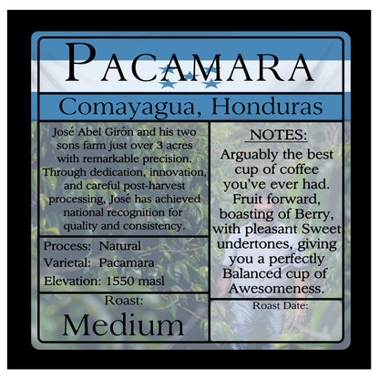 Pacamara - Honduras
